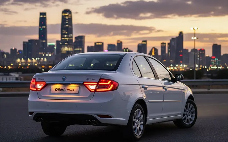 Dena Plus Hazard Light Inspection